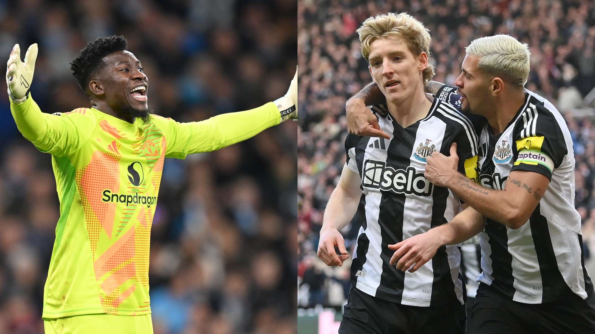 展望未来 展望未来